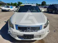 2010 Honda Accord фото
