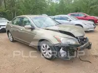 2010 Honda Accord фото