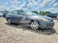 2010 Honda Accord фото