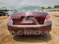 2010 Honda Accord photo