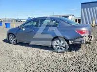 2010 Honda Accord photo