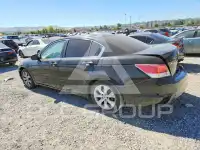 2010 Honda Accord фото