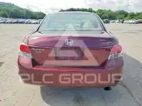 2010 Honda Accord фото