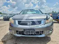 2010 Honda Accord фото