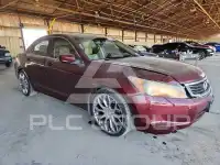 2010 Honda Accord photo