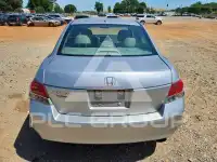 2010 Honda Accord фото