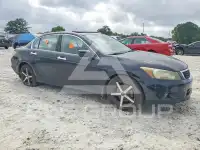 2010 Honda Accord фото