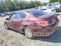 2010 Honda Accord фото