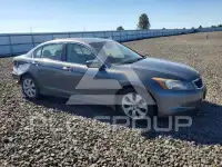 2010 Honda Accord photo
