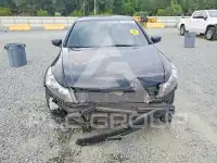 2010 Honda Accord photo