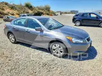 2010 Honda Accord фото
