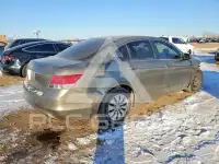 2010 Honda Accord photo