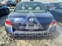 2010 Honda Accord фото