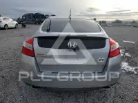 2010 Honda Accord фото