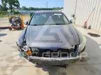 2010 Honda Accord фото