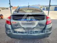 2010 Honda Accord фото