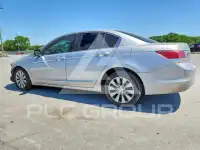 2010 Honda Accord фото