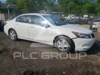 2010 Honda Accord photo