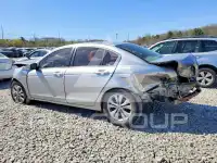 2010 Honda Accord photo