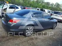 2010 Honda Accord фото