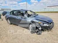 2010 Honda Accord фото