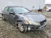 2010 Honda Accord фото