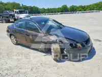 2010 Honda Accord фото