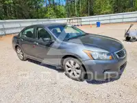 2010 Honda Accord photo