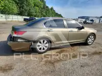 2010 Honda Accord фото