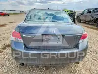 2010 Honda Accord фото