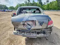 2010 Honda Accord фото