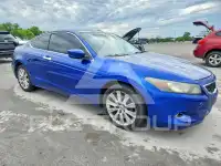 2010 Honda Accord фото