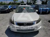 2010 Honda Accord фото