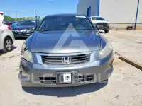 2010 Honda Accord фото