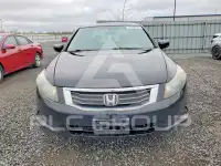 2010 Honda Accord фото