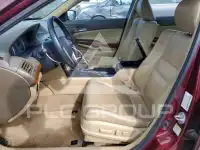 2010 Honda Accord фото