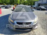 2010 Honda Accord фото