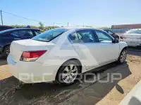 2010 Honda Accord фото
