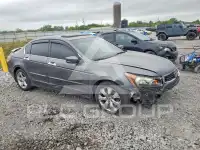 2010 Honda Accord фото