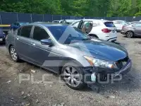 2010 Honda Accord фото