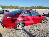 2010 Honda Accord фото