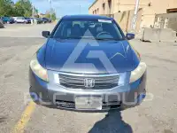 2010 Honda Accord фото