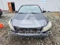 2010 Honda Accord фото