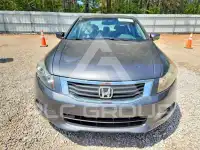 2010 Honda Accord photo