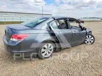 2010 Honda Accord фото