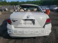 2010 Honda Accord photo