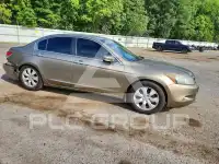 2010 Honda Accord фото