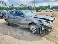 2010 Honda Accord фото