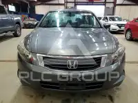2010 Honda Accord фото