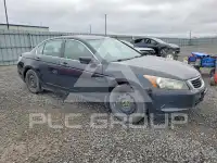 2010 Honda Accord фото